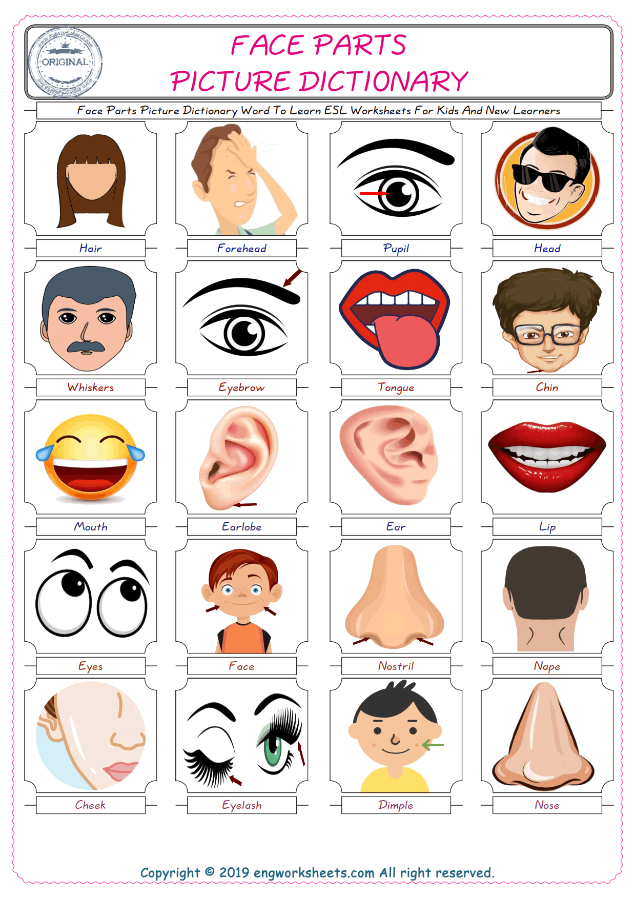  Face Parts English Worksheet for Kids ESL Printable Picture Dictionary 
